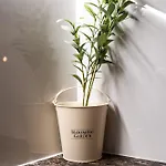 شقة Dorn Aqua سيغيد